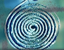 Espiral celta